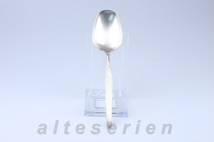 Gemüselöffel groß