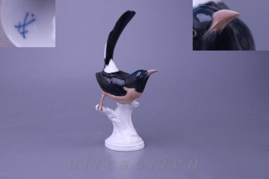 Schamadrossel bemalt E 282 Pfeifferzeit I. Wahl