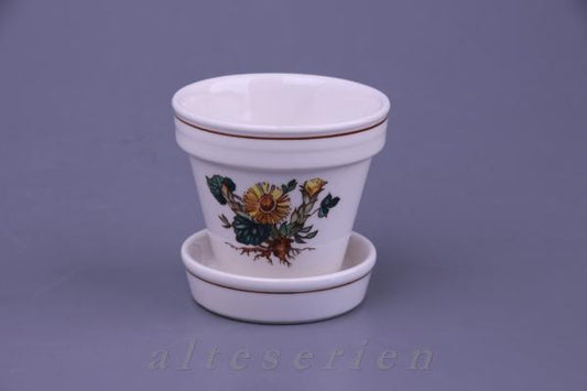 Übertopf klein mit Loch Tussilage farfara