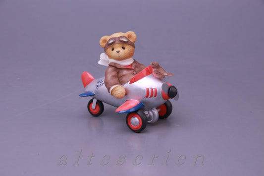 Teddy Chad 477524