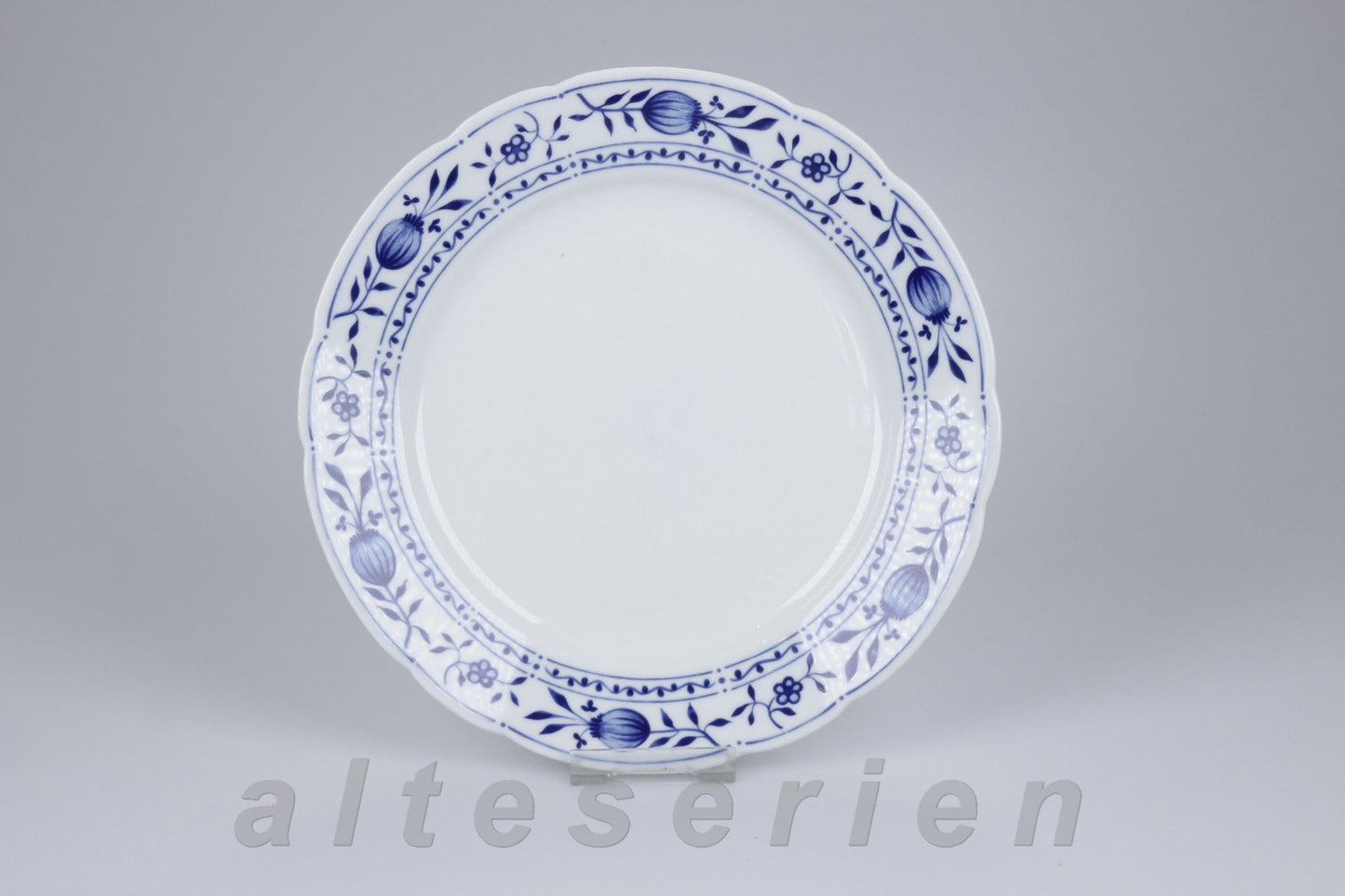 Speiseteller Teildekor