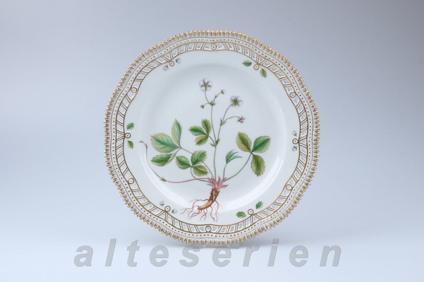 Speiseteller Fragaria Modell 3553