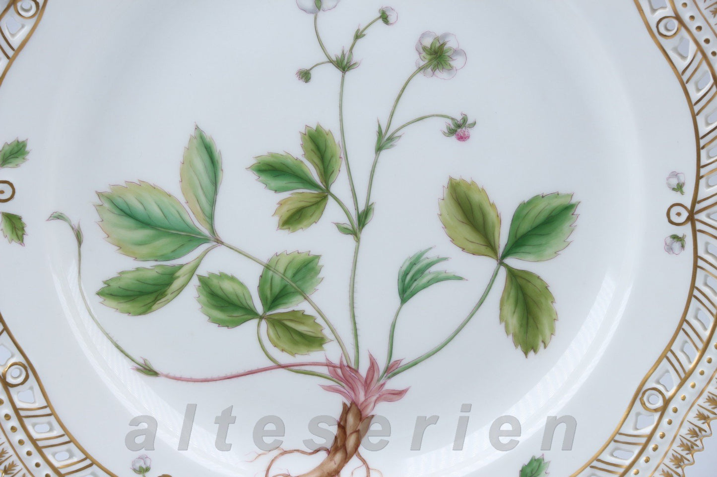 Speiseteller Fragaria Modell 3553