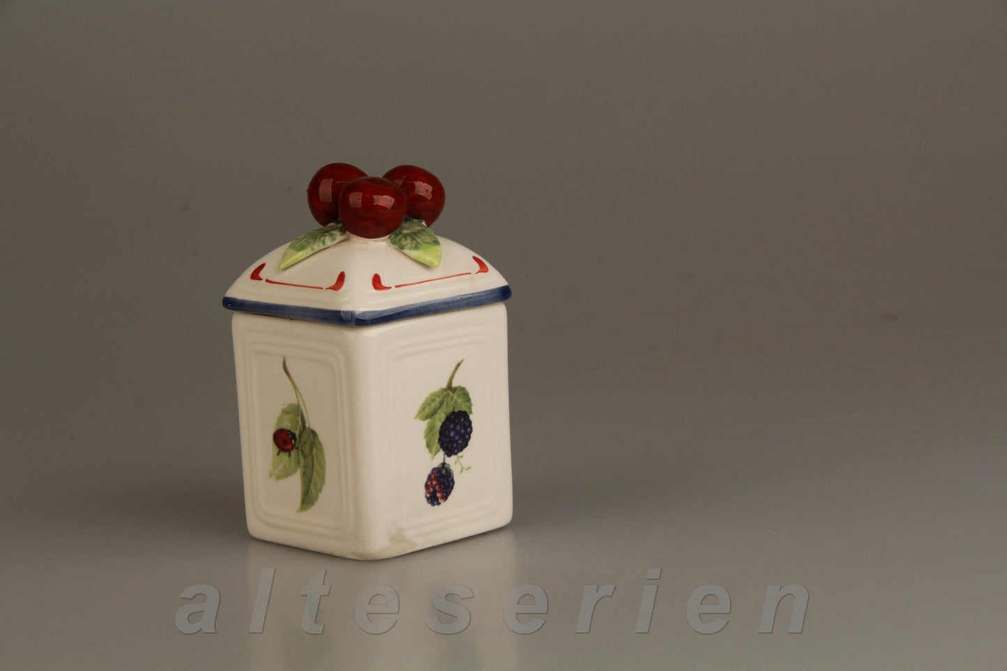 Vorratsdose klein Brombeere