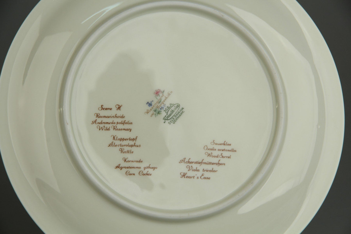 Frühstücksteller - Scene H