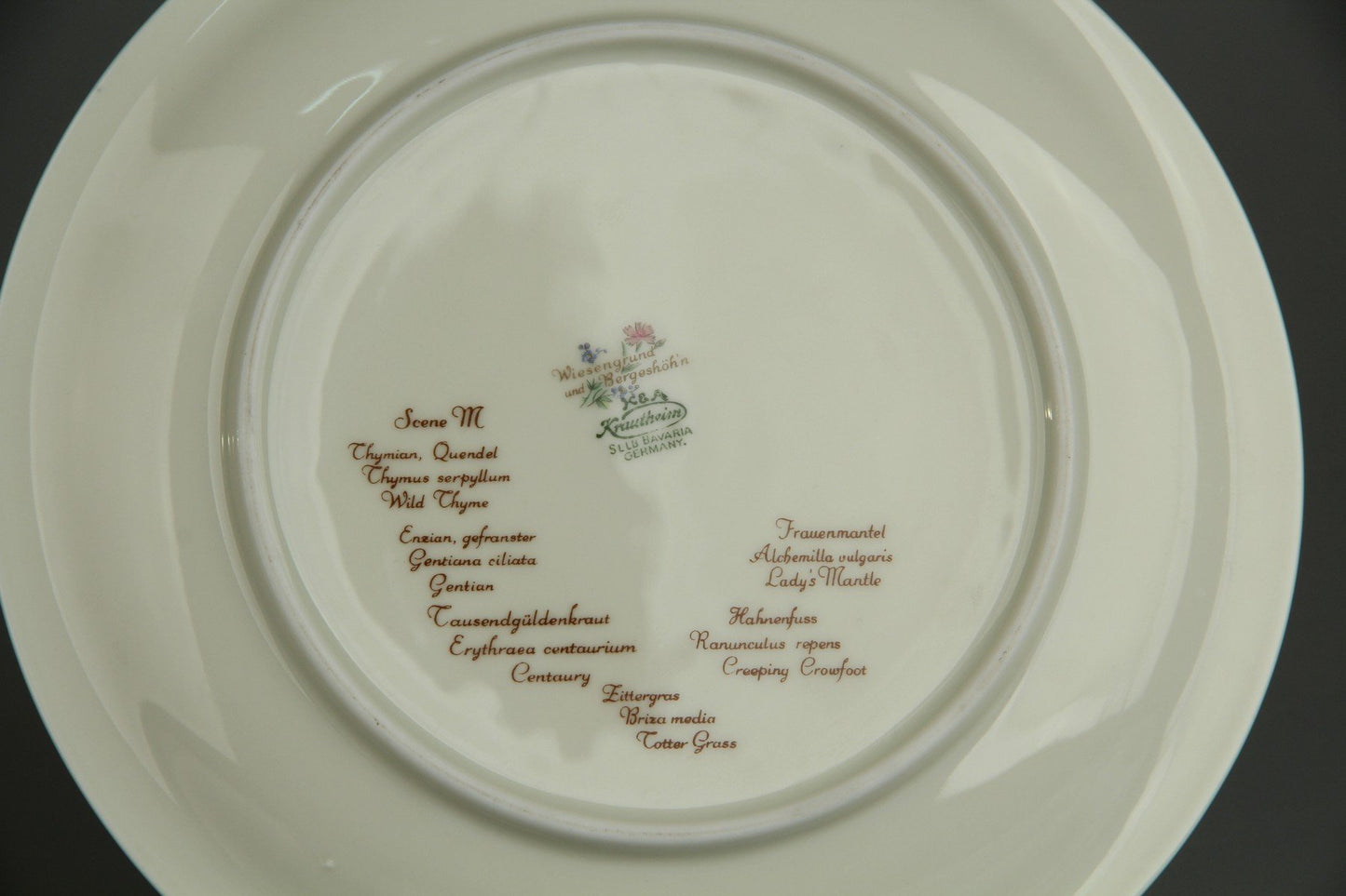 Frühstücksteller  - Scene M