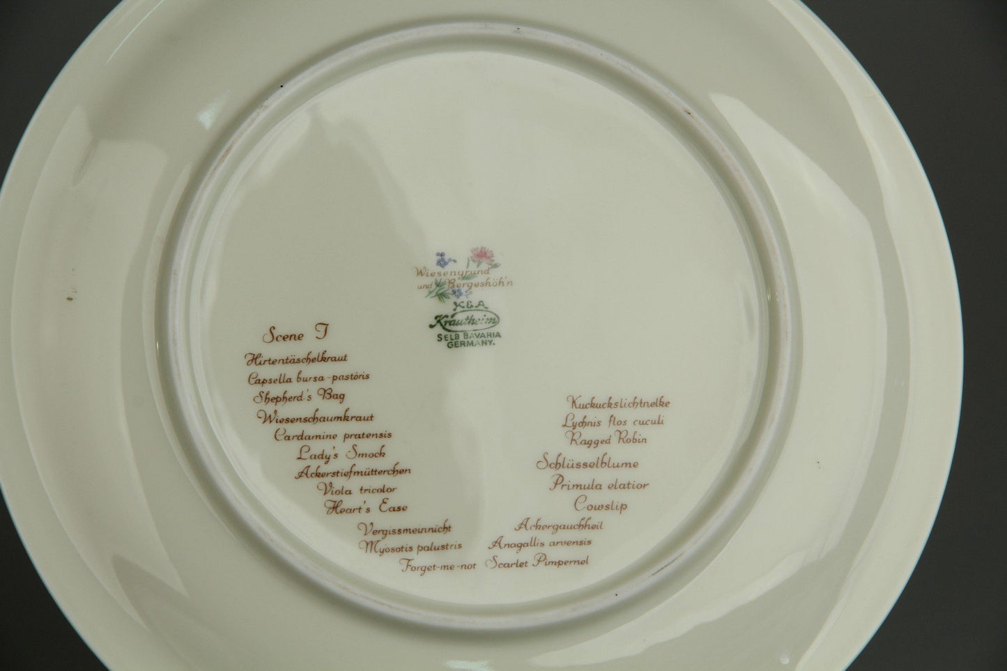 Frühstücksteller - Scene J