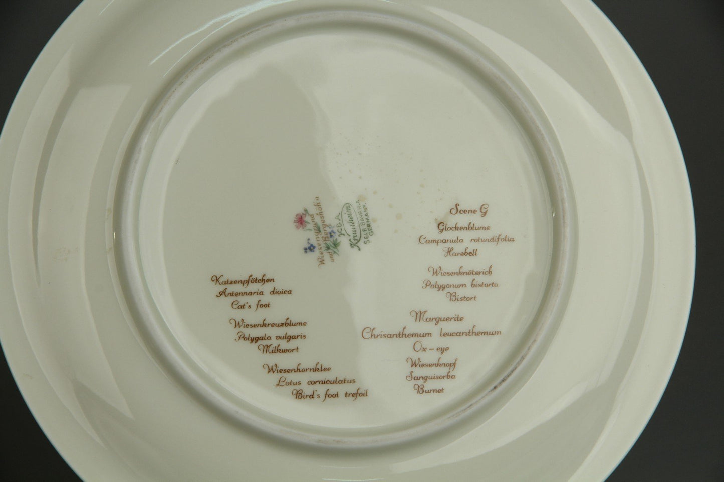 Frühstücksteller - Scene G