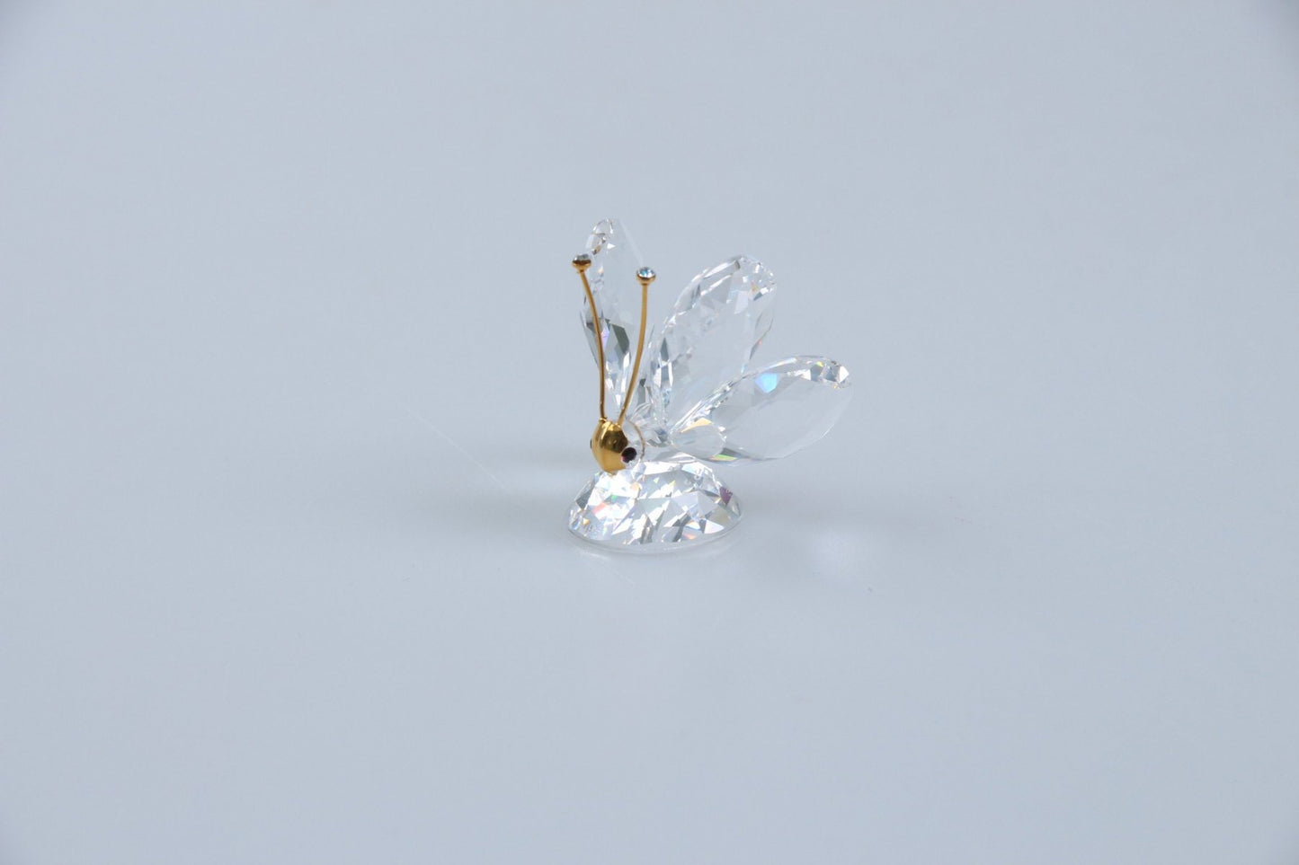 Schmetterling klein 012774 ohne OVP