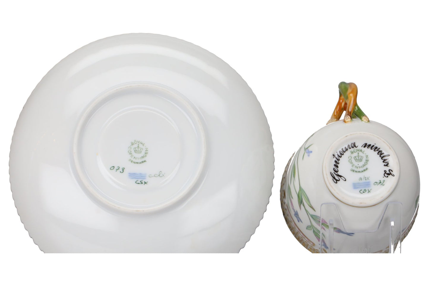 Kaffeetasse mit Untere Gentiana nivalis L.