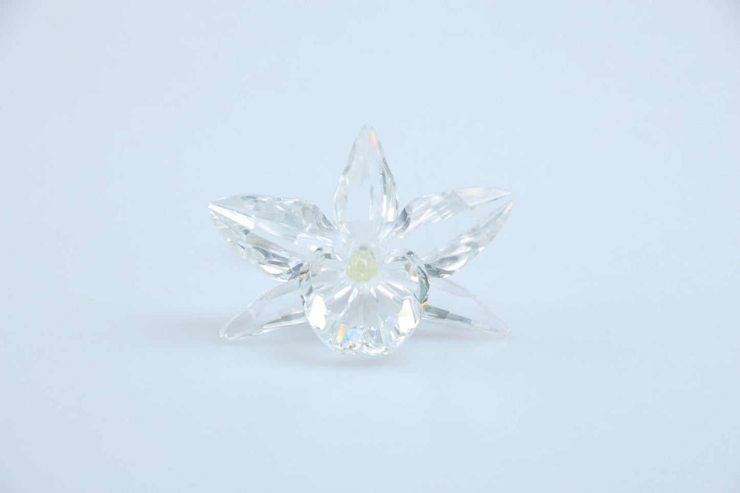 Orchidee gelb 200280