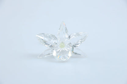 Orchidee gelb 200280