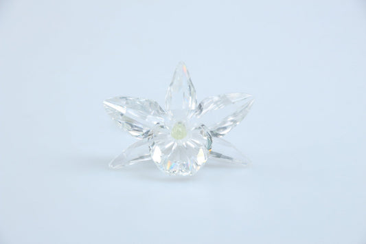 Orchidee gelb 200280