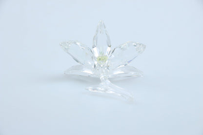 Orchidee gelb 200280