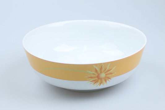 Schüssel mittelgroß