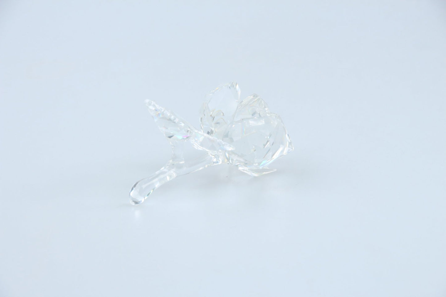 liegende Rose 174956