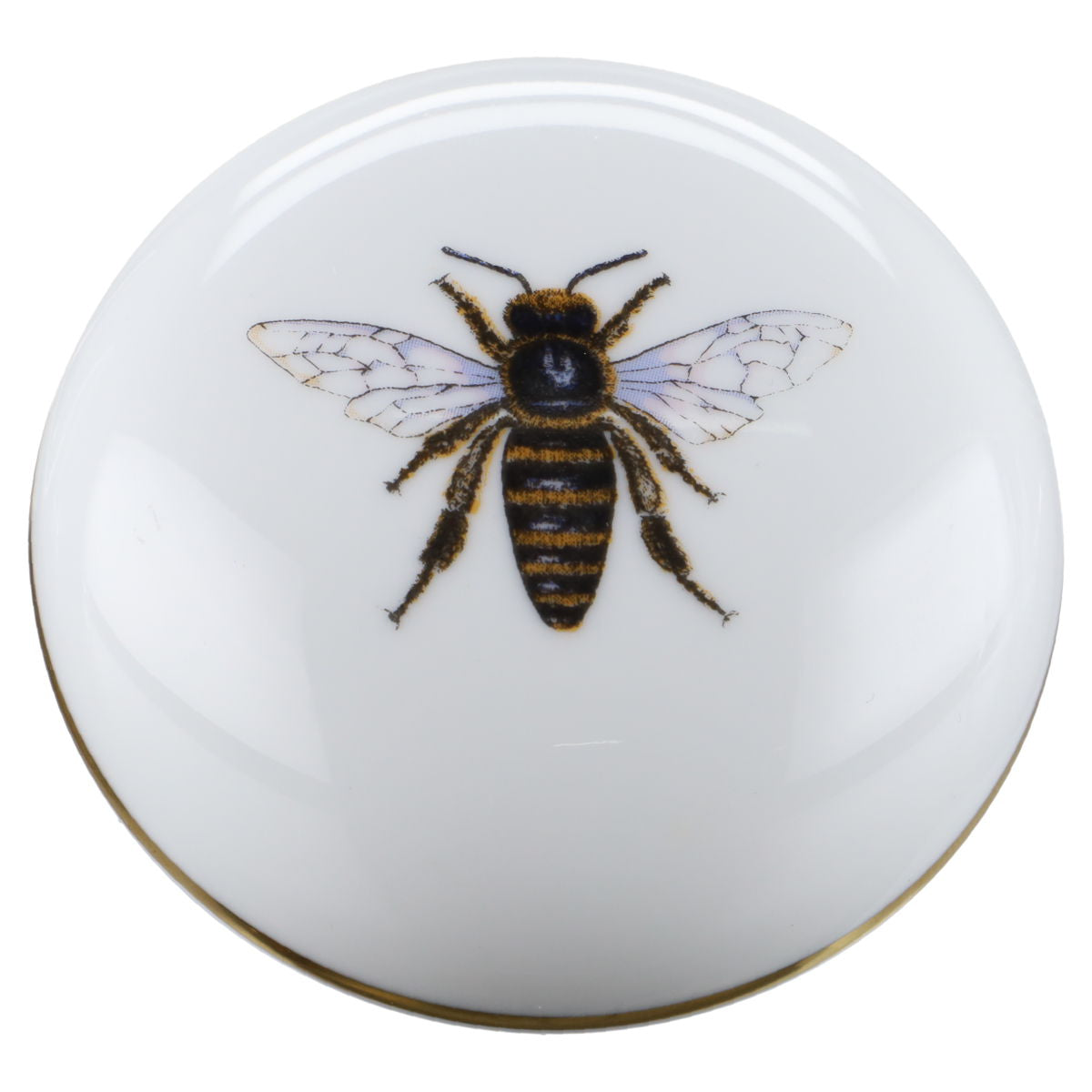 Bonbonniere klein Insektenmalerei