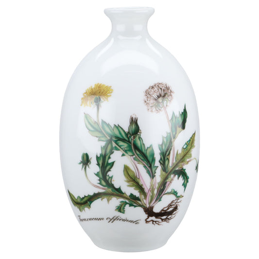 Vase Taraxacum officinale