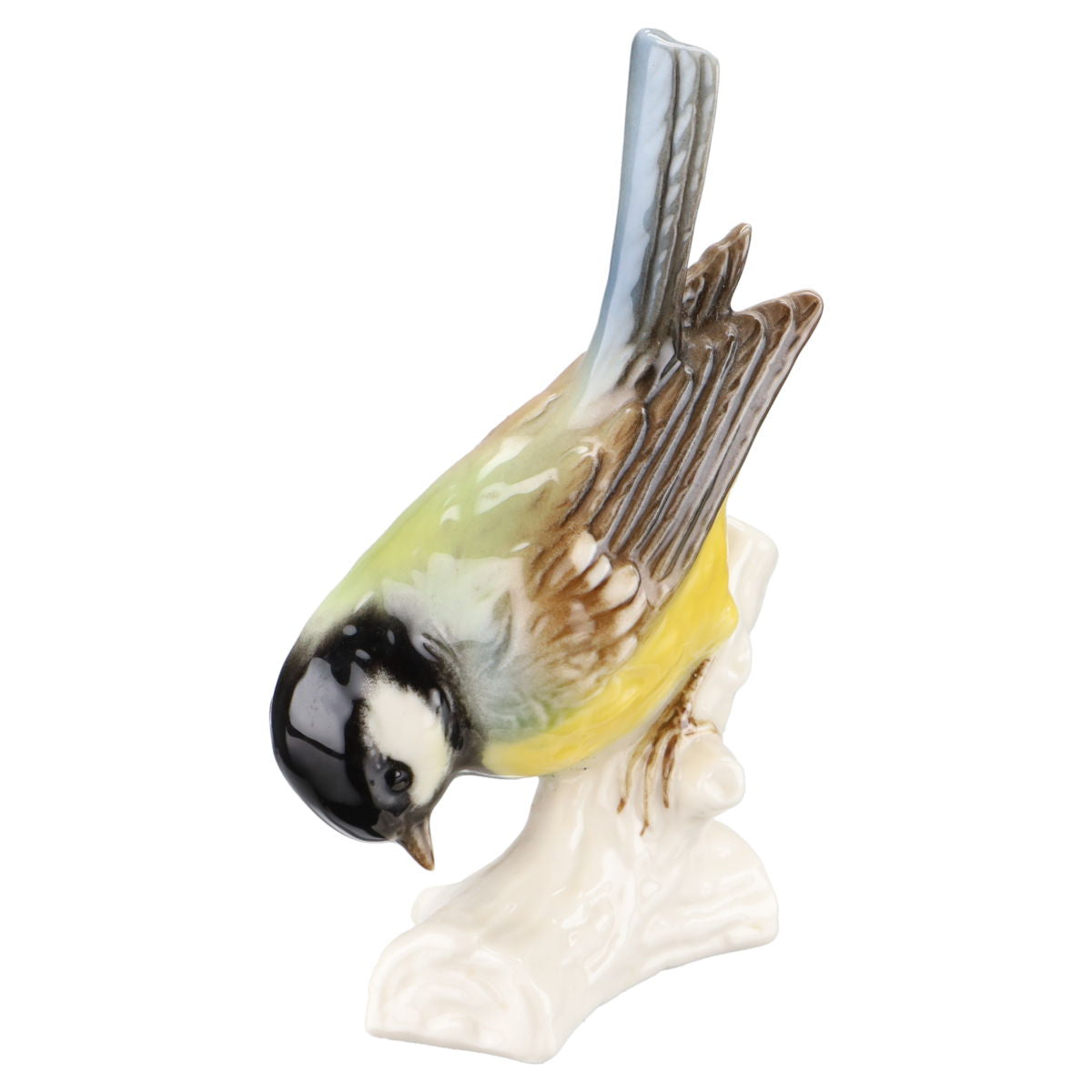 Kohlmeise auf weißem Holzstück