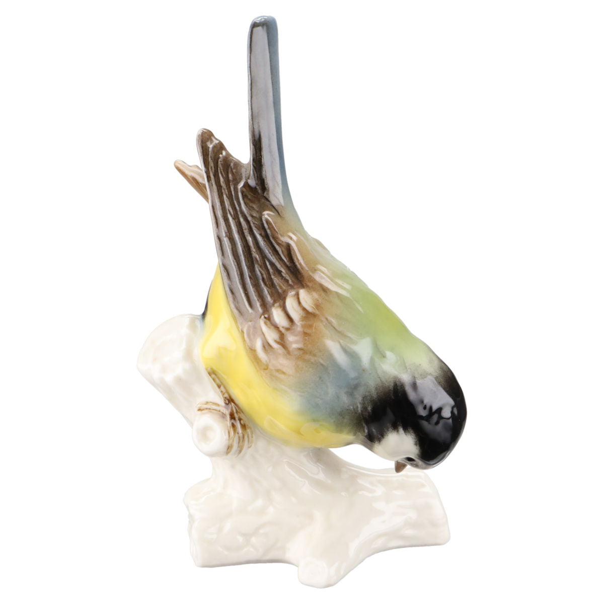 Kohlmeise auf weißem Holzstück