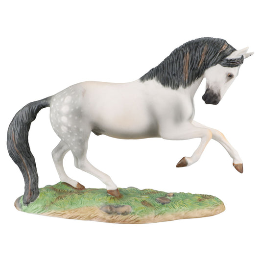 THE GREAT HORSES OF THE WORLD Andalusian