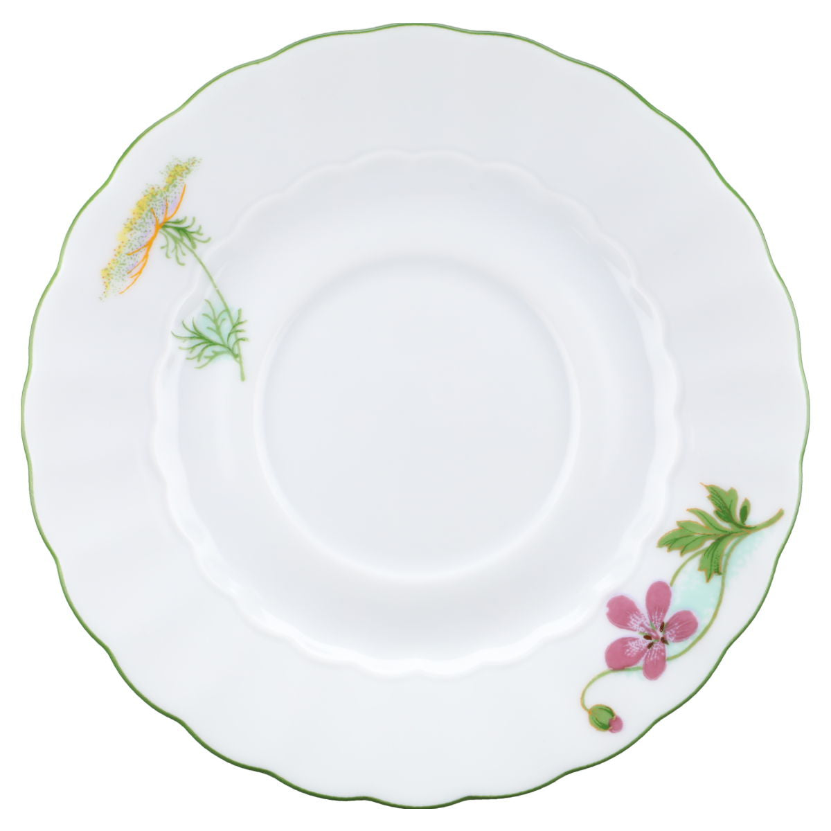 Kaffeetasse mit Untere Bellis Perennis