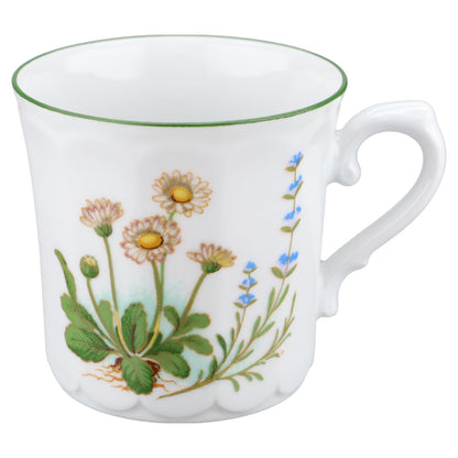 Kaffeetasse mit Untere Bellis Perennis