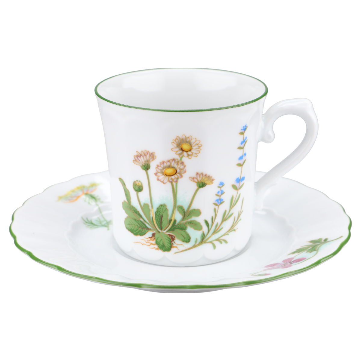 Kaffeetasse mit Untere Bellis Perennis