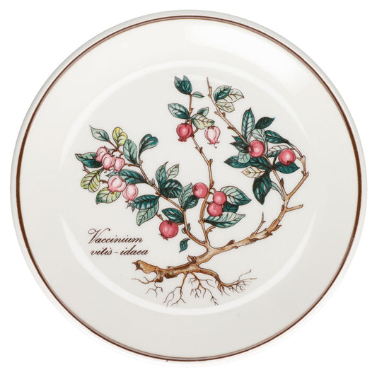 Untersetzer rund für Flaschen Vaccinium vitis-idaea