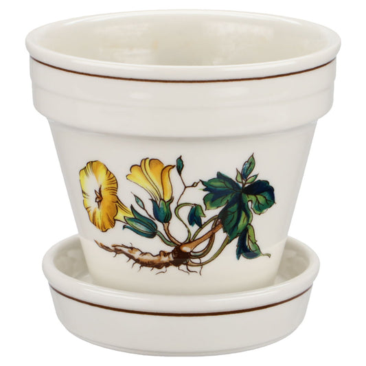 Übertopf klein mit Loch 2tlg. Convolvulus Jalapa