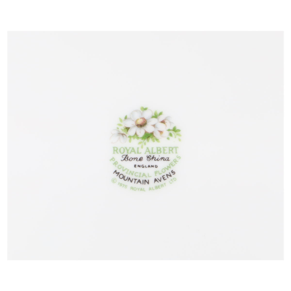 Kaffeetasse Mountain Avens