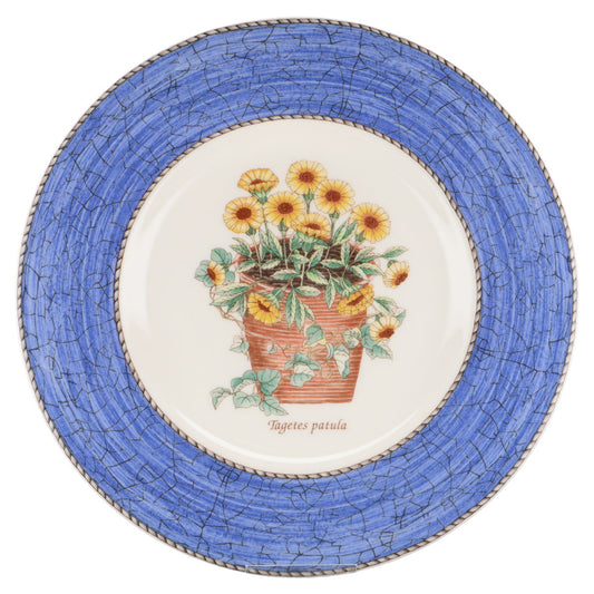 Kuchenteller blau - Tagetes patula