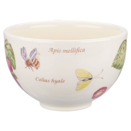 Jumbotasse - Prunus domestica