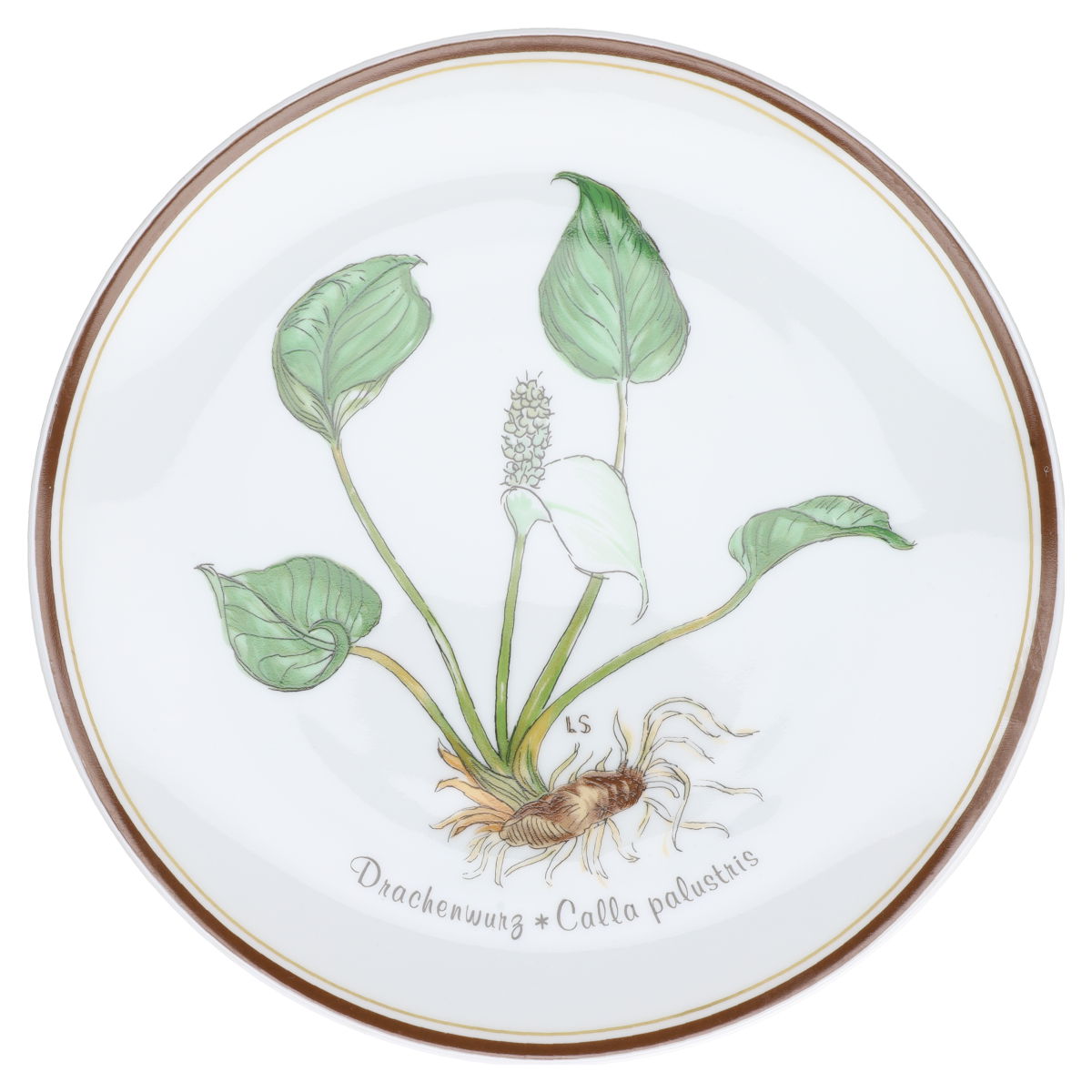 Wandteller  Drachenwurz Nr. 2