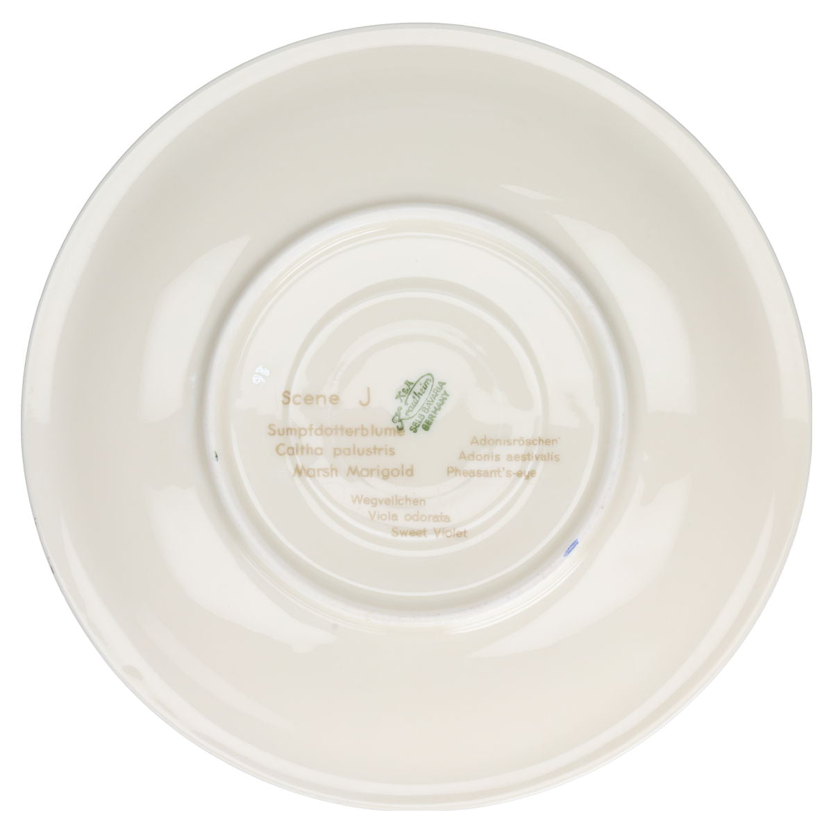 Untertasse für Kaffee / Tee Scene J