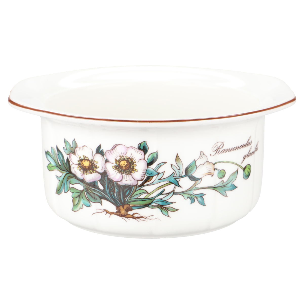 Suppentasse ofenfest Ranunculus glacialis Typ II