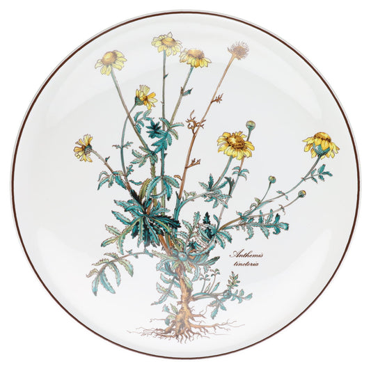 Tortenplatte klein anthemis tinctoria