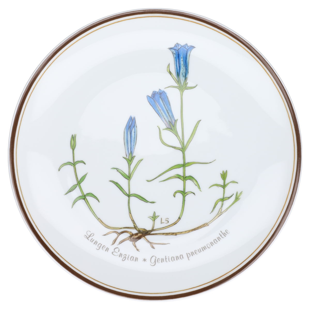 Wandteller Lungen Enzian Nr. 11