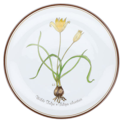 Wandteller Wilde Tulpe Nr. 12