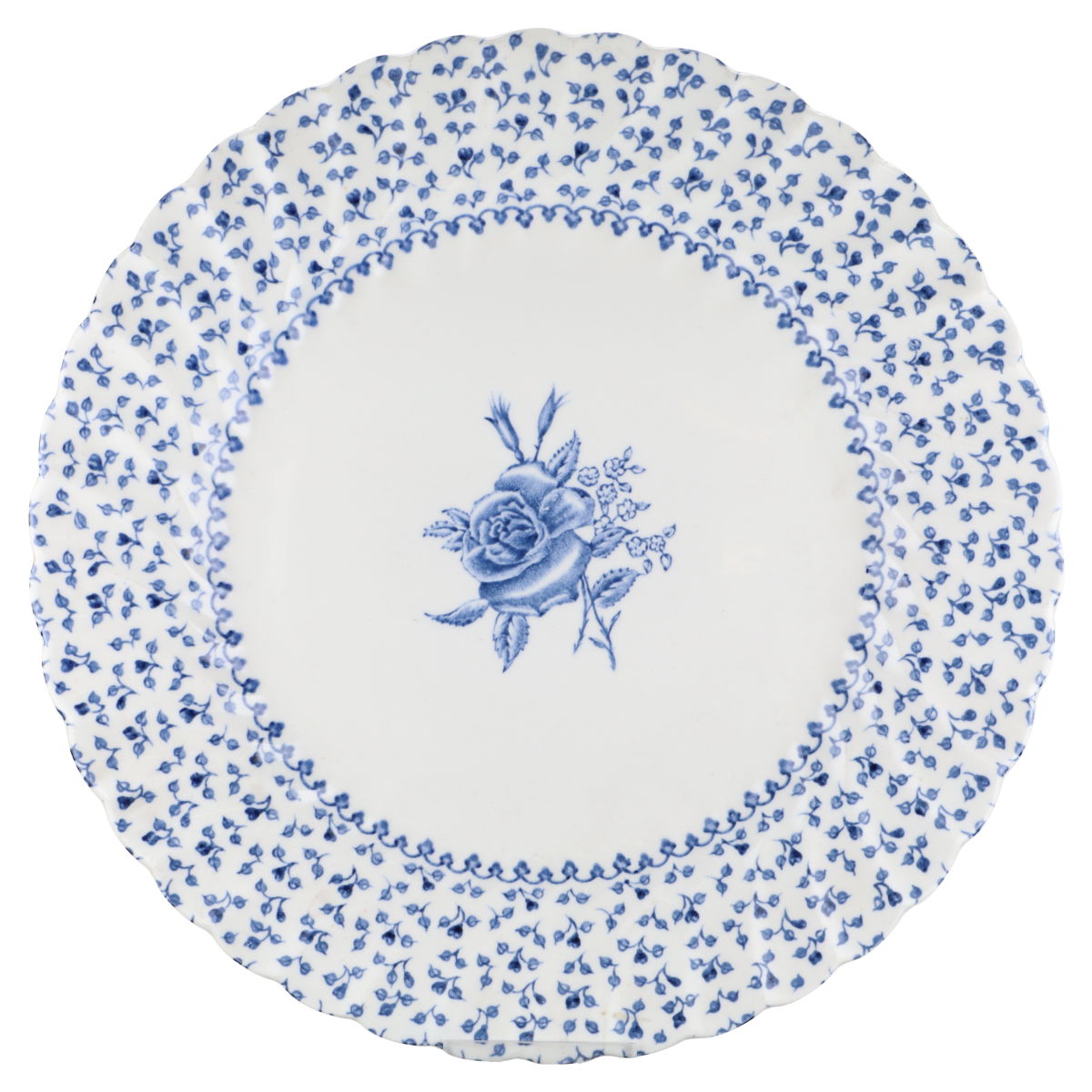 Kuchenteller groß/Frühstücksteller