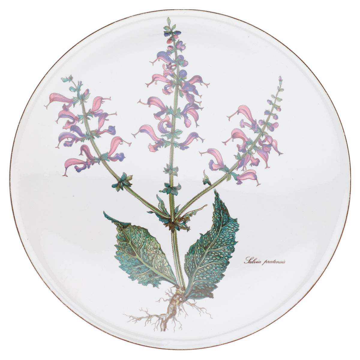 Tortenplatte salvia pratensis