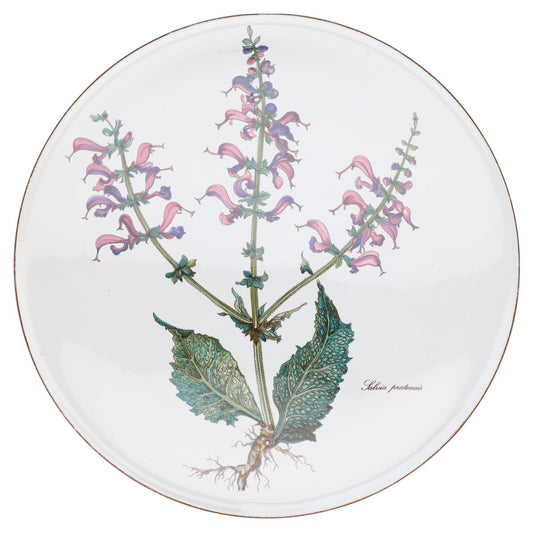 Tortenplatte salvia pratensis