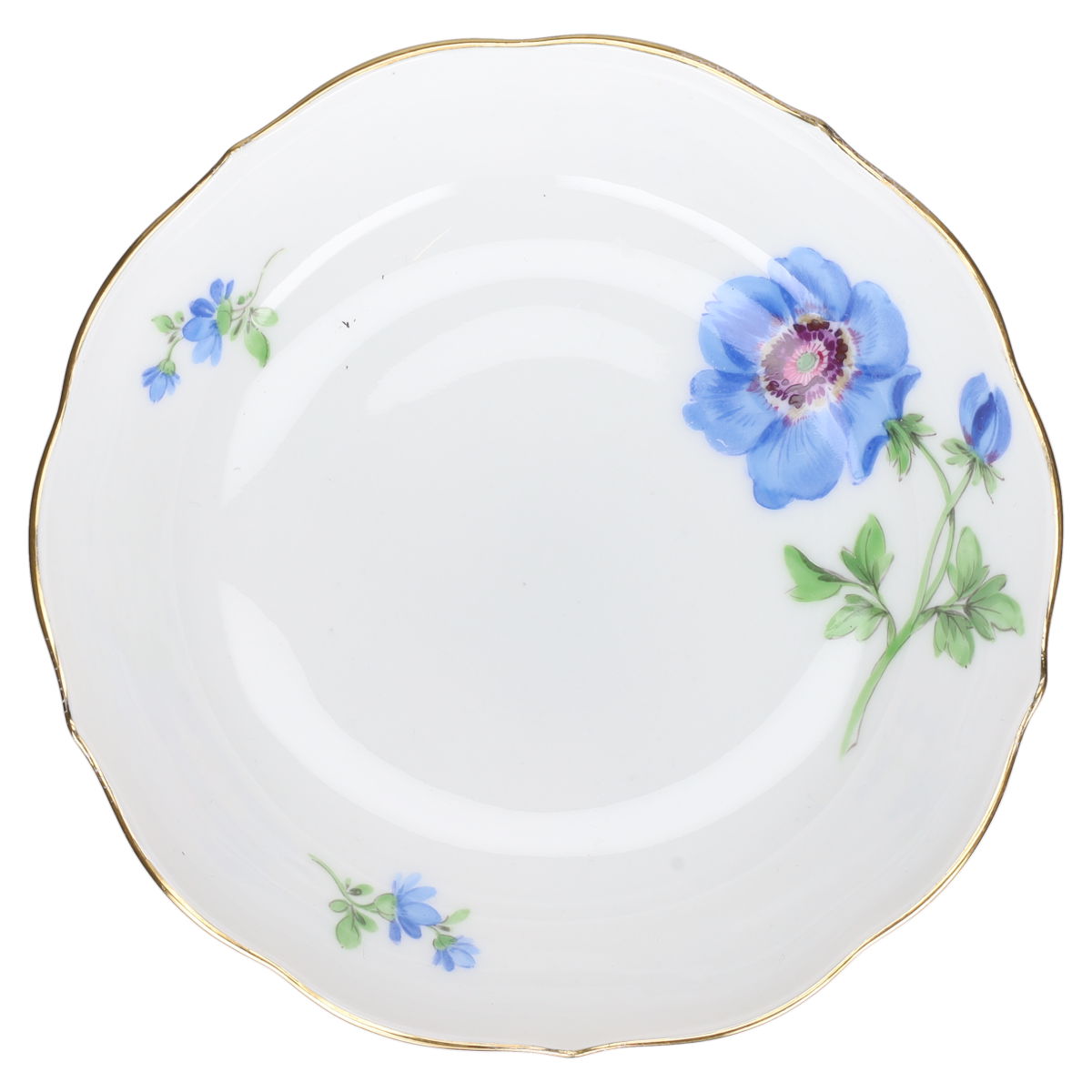 Mokkatasse mit Untere Anemone Blau
