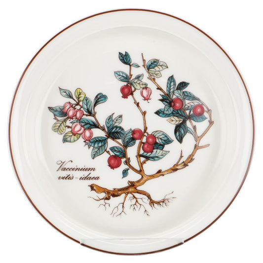 Souffléform klein flach ofenfest -Vaccinium vitis idaea