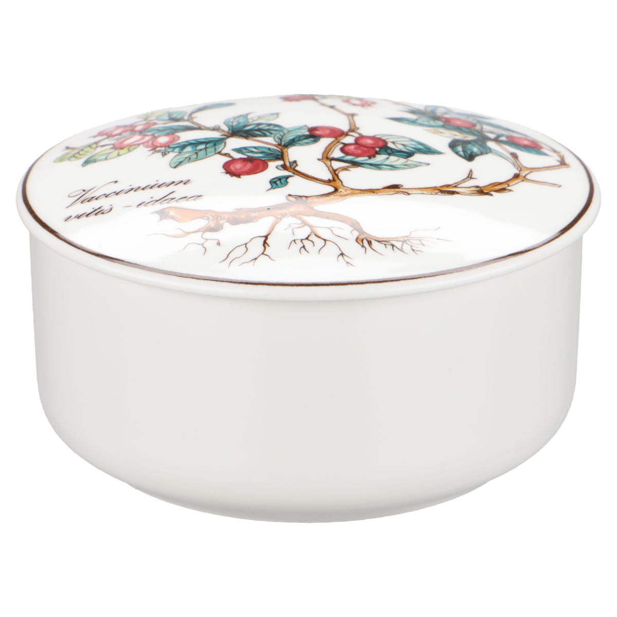 Bonbonniere klein - Vaccinium vitis-idaea neues Modell