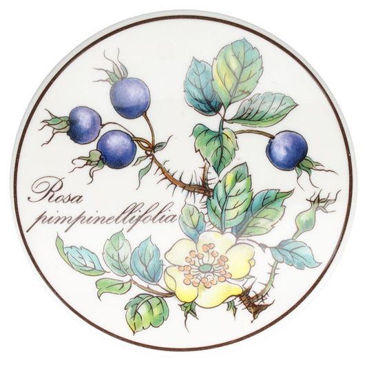 Bonbonniere / Dosen mini Rosa pimpinellifolia neues Modell