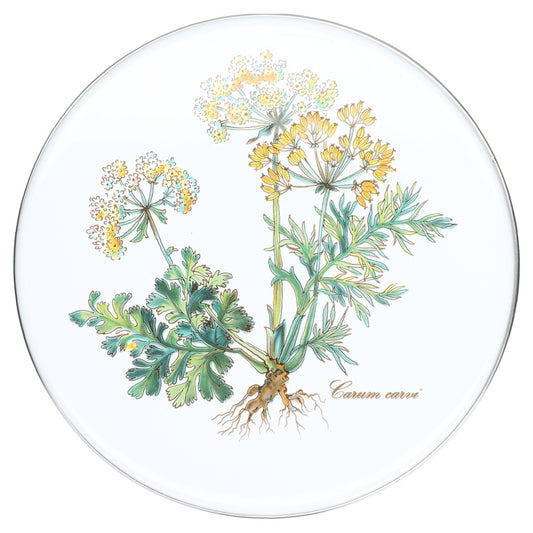 Abdeckung für Herdplatte Carum carvi