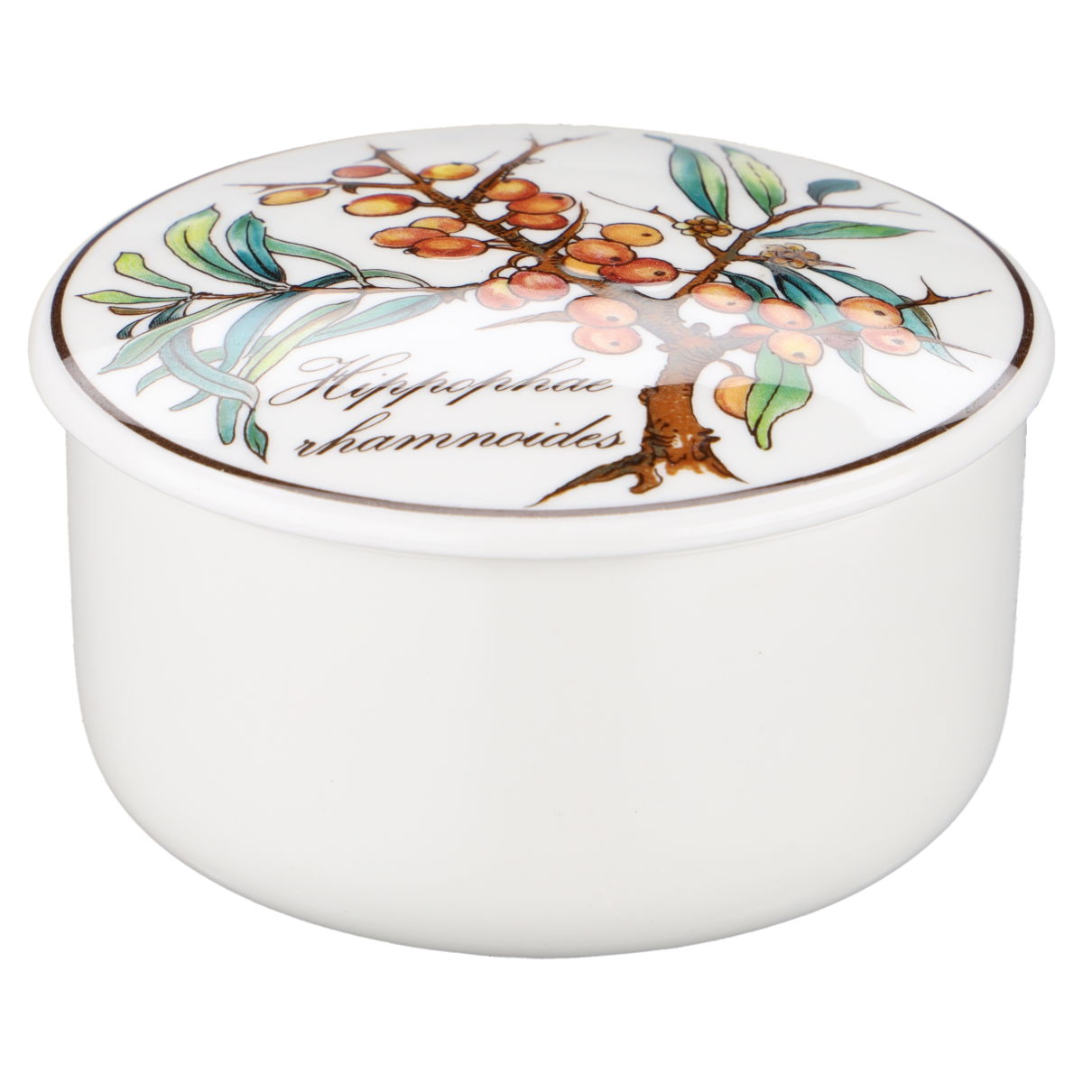 Bonbonniere / Dosen mini Hippophae rhamnoides neues Modell