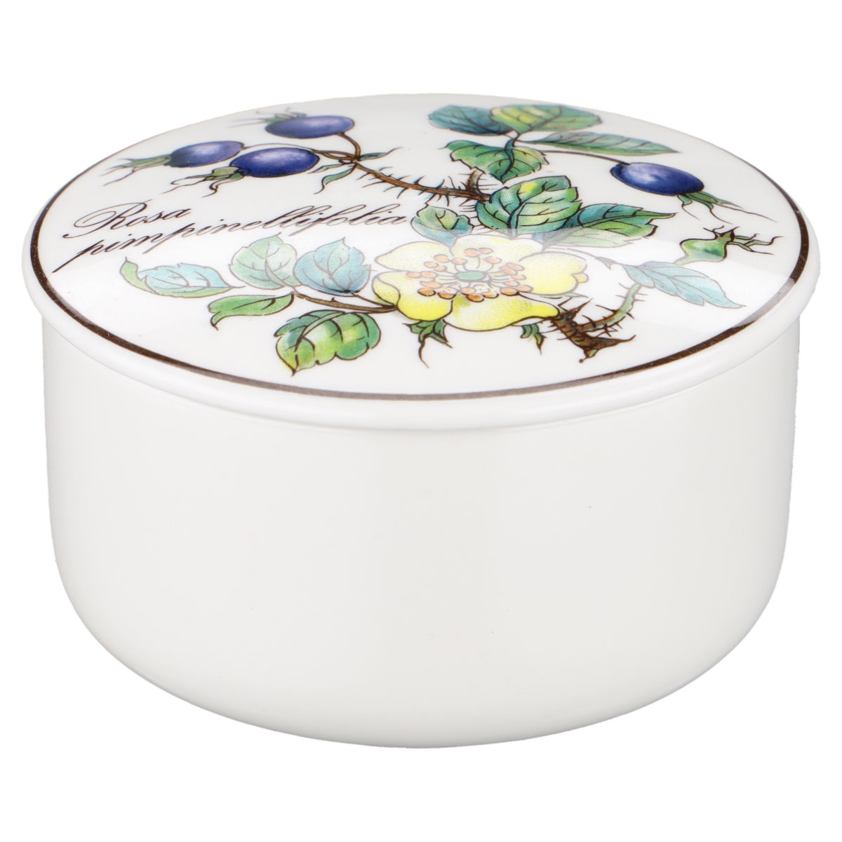 Bonbonniere / Dosen mini Rosa pimpinellifolia neues Modell