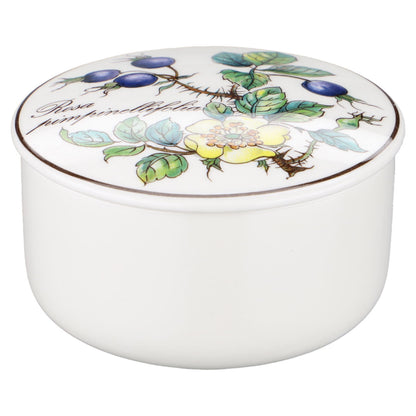 Bonbonniere / Dosen mini Rosa pimpinellifolia neues Modell